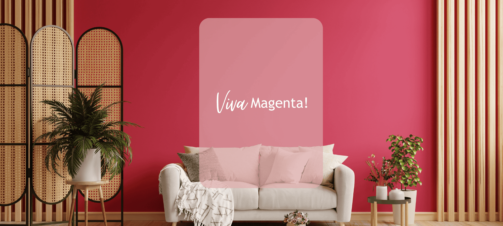 2023 Pantone Color of the year reveal